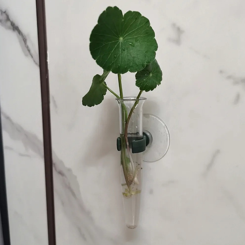 11cm Bloemstukken Waterbuizen  - Nutrition & Fitness Hub Photos recensie en prijs